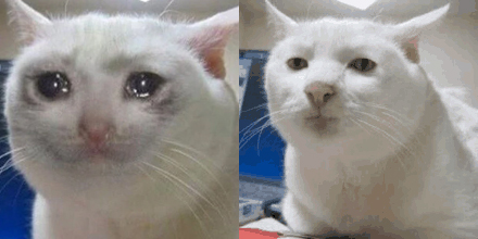 crying cat vs serious cat original